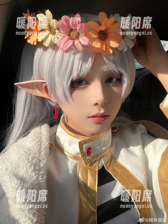 免费呈现：腥味猫罐的快乐，新年合集的一小步哦